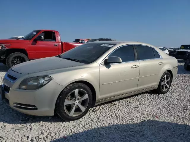 2011 Chevrolet Malibu 1LT