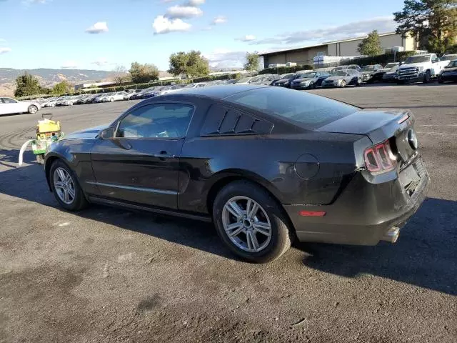 2014 Ford Mustang