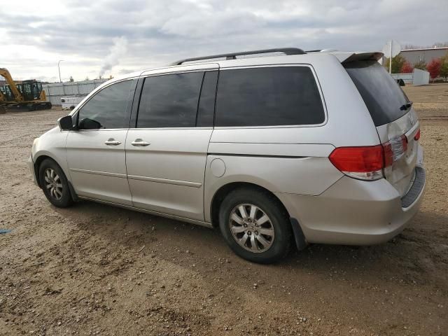 2008 Honda Odyssey EXL