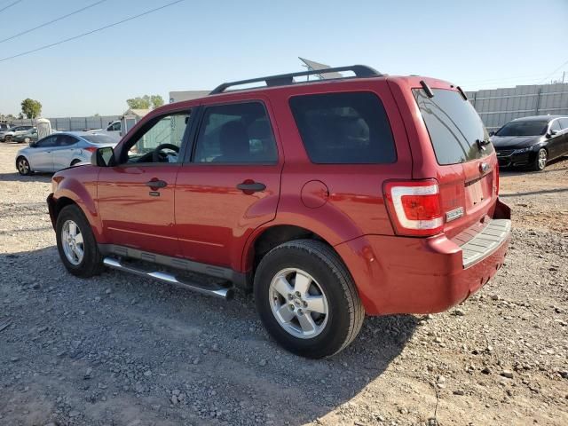 2010 Ford Escape XLT