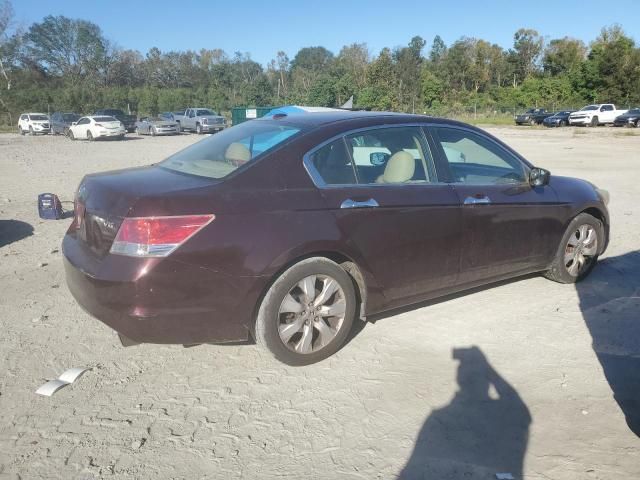 2010 Honda Accord EXL