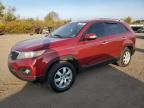 2011 KIA Sorento Base