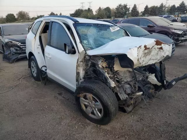 2009 Hyundai Santa FE GLS