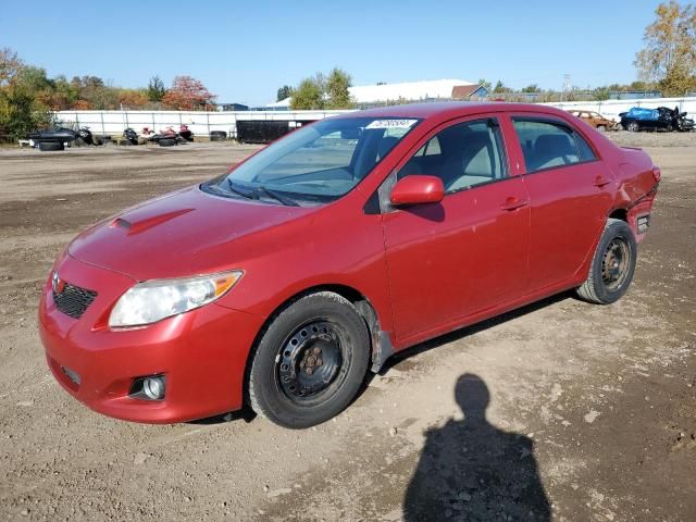 2010 Toyota Corolla Base