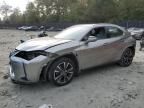 2020 Lexus UX 250H