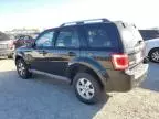 2009 Ford Escape Limited