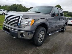 Salvage cars for sale at Riverview, FL auction: 2010 Ford F150 Supercrew