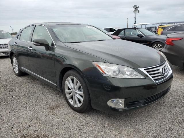 2010 Lexus ES 350