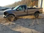 2010 Ford F150