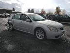 2007 Nissan Maxima SE