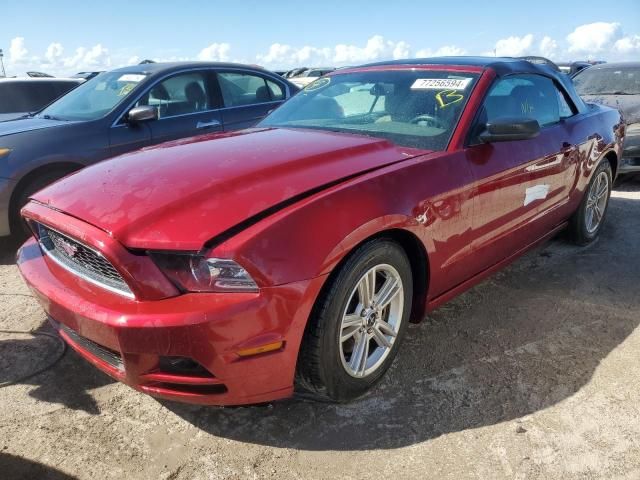 2014 Ford Mustang