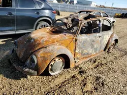 Salvage cars for sale at Nisku, AB auction: 1969 Volkswagen Beetle