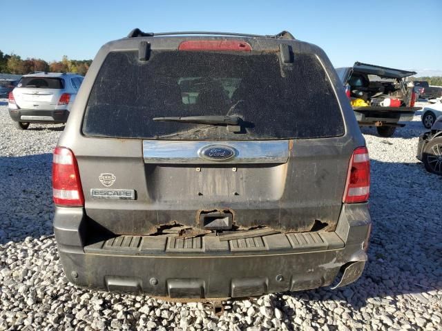 2010 Ford Escape Limited