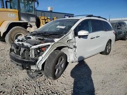 Honda salvage cars for sale: 2020 Honda Odyssey EXL