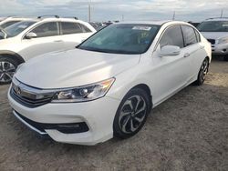 Salvage cars for sale at Arcadia, FL auction: 2016 Honda Accord EXL