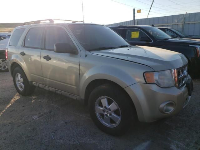 2010 Ford Escape XLT