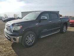 Toyota salvage cars for sale: 2010 Toyota Tundra Crewmax Limited