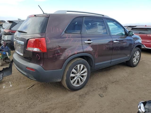 2011 KIA Sorento Base