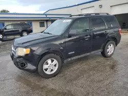 Salvage cars for sale at Fort Pierce, FL auction: 2008 Ford Escape XLT