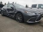 2023 Lexus ES 300H Base