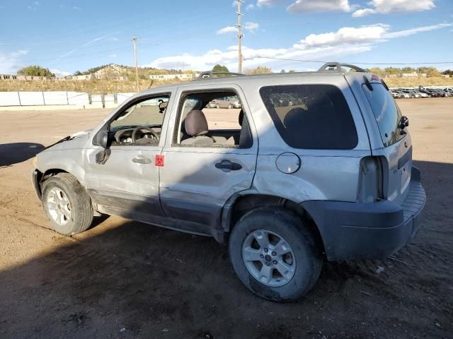 2006 Ford Escape XLT