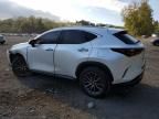 2022 Lexus NX 350