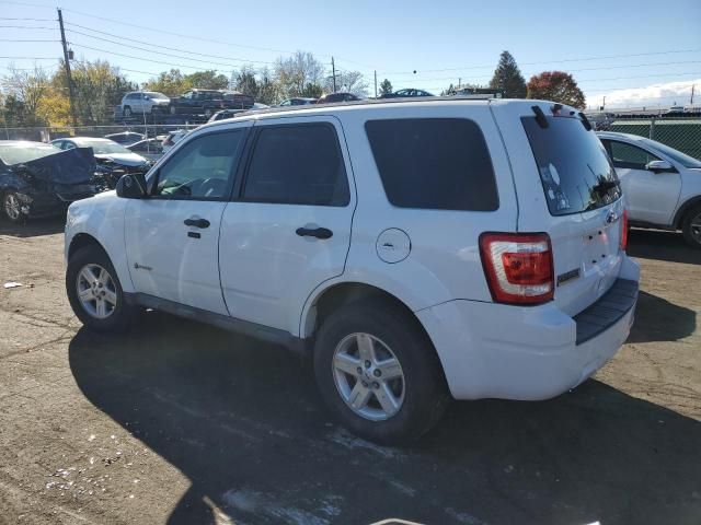 2010 Ford Escape Hybrid