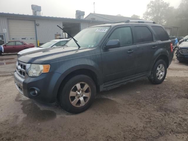 2009 Ford Escape Limited