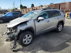 Salvage cars for sale at Wilmington, CA auction: 2019 Toyota Rav4 XLE