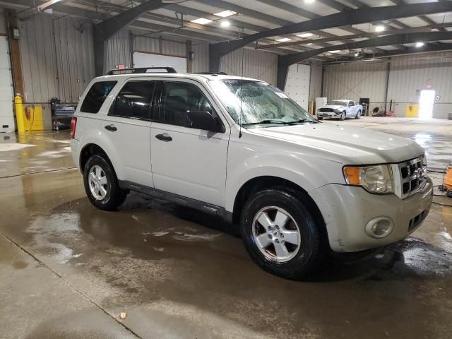 2009 Ford Escape XLT