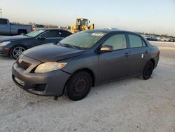 Salvage cars for sale from Copart Arcadia, FL: 2009 Toyota Corolla Base