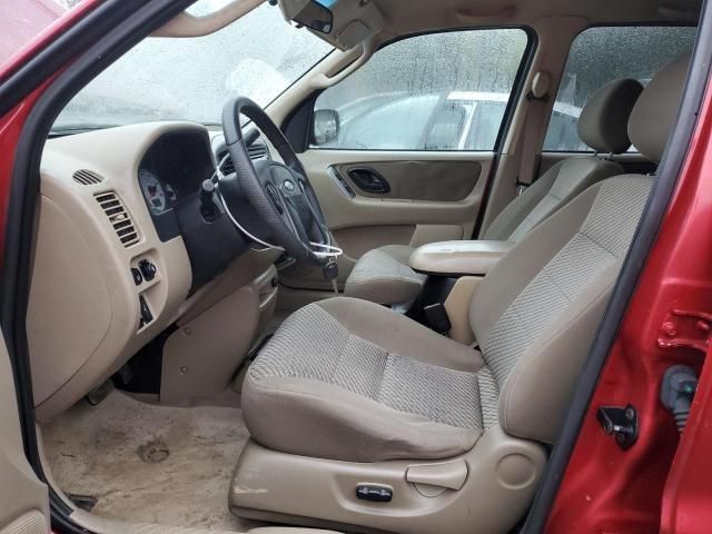 2003 Ford Escape XLT