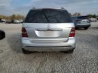 2006 Mercedes-Benz ML 500