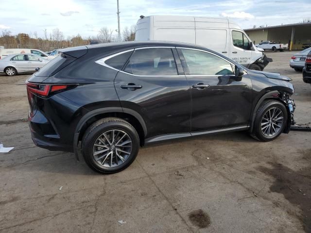 2024 Lexus NX 350H Base