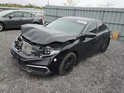 Salvage cars for sale at Ottawa, ON auction: 2019 Honda Civic EX