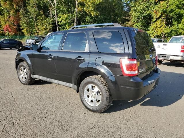 2011 Ford Escape Limited