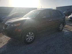 KIA salvage cars for sale: 2011 KIA Sorento Base