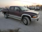 2004 Dodge Dakota Quad SLT