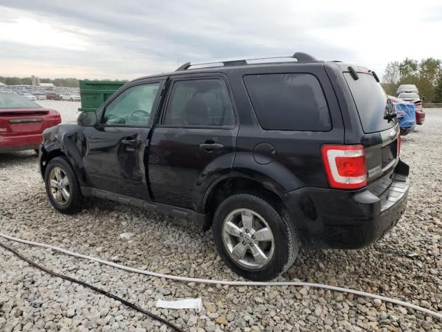 2010 Ford Escape Limited