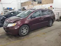 Salvage cars for sale at Ham Lake, MN auction: 2012 Honda Odyssey EXL