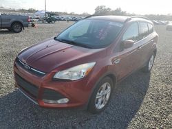 Vehiculos salvage en venta de Copart Midway, FL: 2015 Ford Escape SE