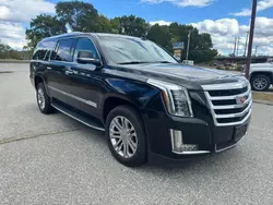 Cadillac Vehiculos salvage en venta: 2019 Cadillac Escalade ESV