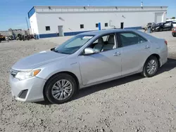 Toyota salvage cars for sale: 2014 Toyota Camry Hybrid