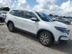 2020 Honda Pilot EXL