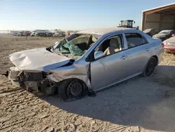 Salvage cars for sale at Houston, TX auction: 2010 Toyota Corolla Base