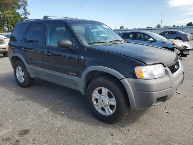 2001 Ford Escape XLT