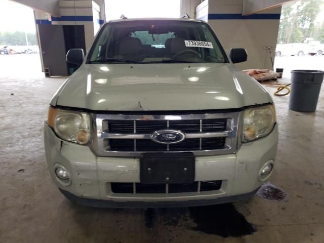 2009 Ford Escape XLT