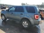 2012 Ford Escape XLS