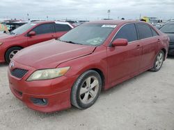 Salvage cars for sale from Copart Arcadia, FL: 2011 Toyota Camry Base