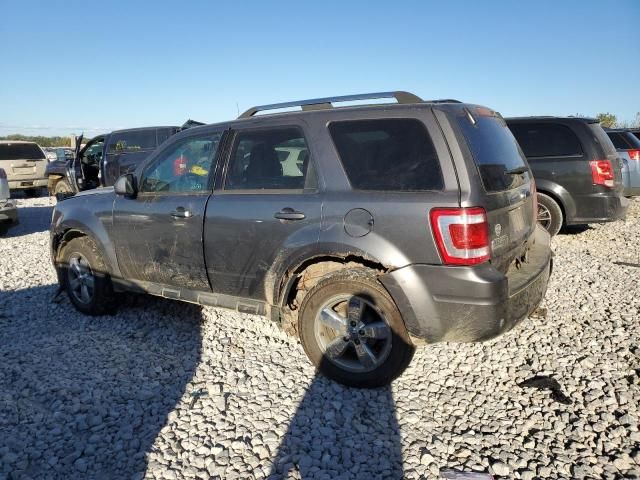 2010 Ford Escape Limited